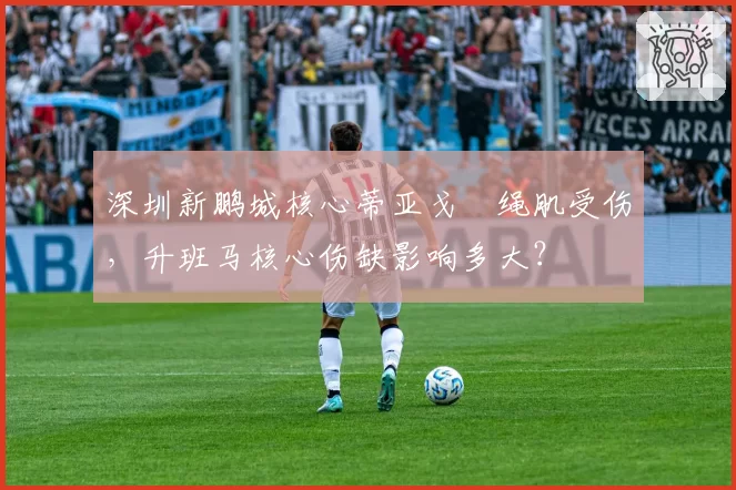 深圳新鹏城核心蒂亚戈腘绳肌受伤,升班马核心伤缺影响多大?