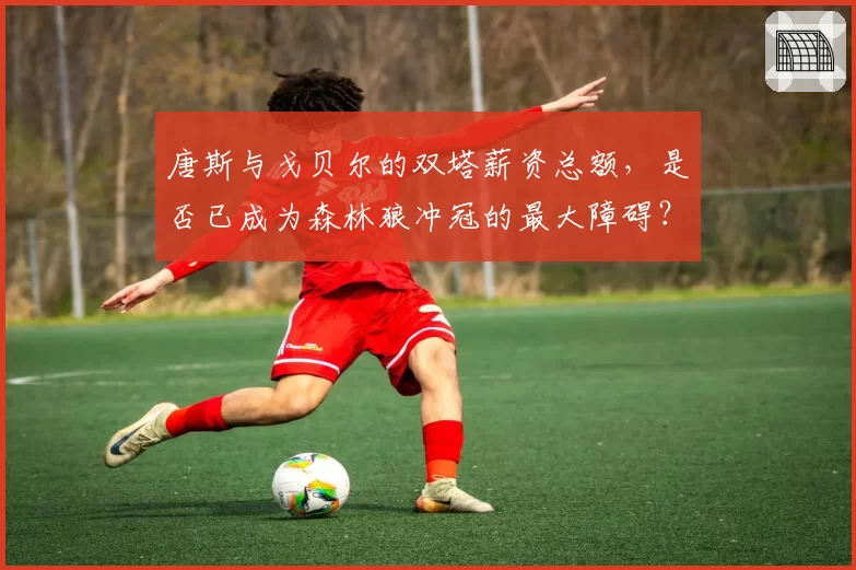 唐斯与戈贝尔的双塔薪资总额，是否已成为森林狼冲冠的最大障碍？