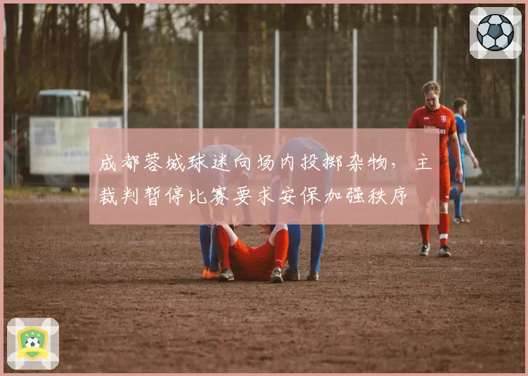 成都蓉城球迷向场内投掷杂物,主裁判暂停比赛要求安保加强秩序
