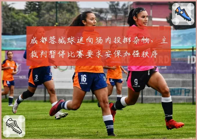 成都蓉城球迷向场内投掷杂物,主裁判暂停比赛要求安保加强秩序